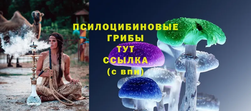 OMG зеркало  Лесозаводск  Галлюциногенные грибы Psilocybe  продажа наркотиков 